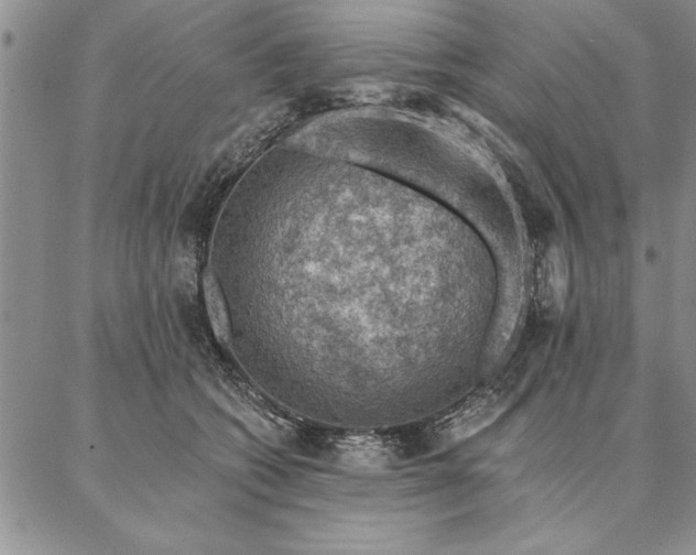 X0000087380562200704271600