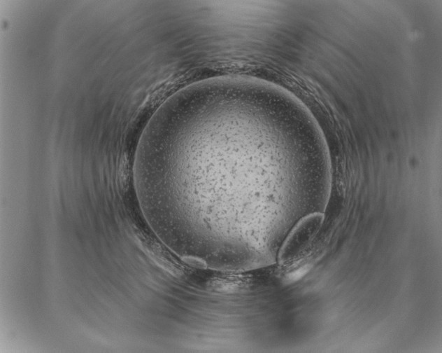 X0000087380563200704271600