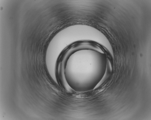 X0000087380564200704271600