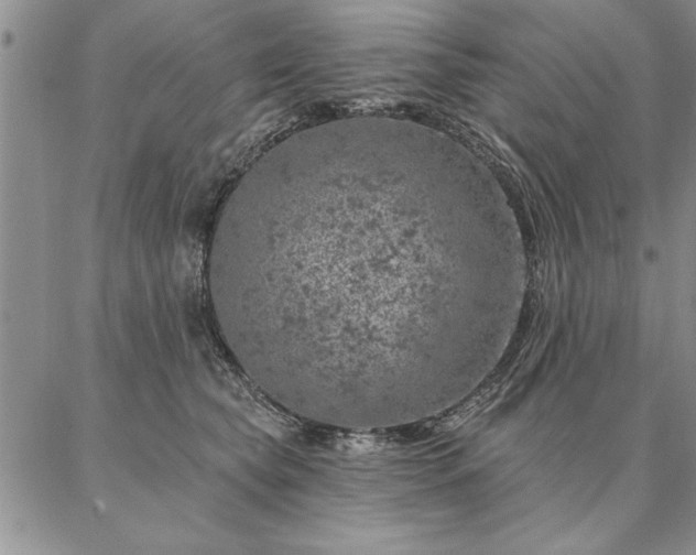 X0000087380565200704271600