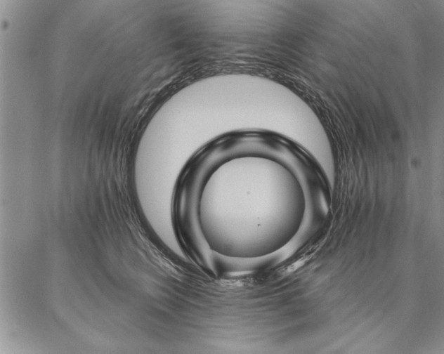 X0000087380566200704271600