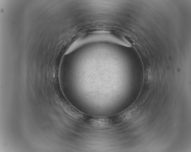 X0000087380567200704271600