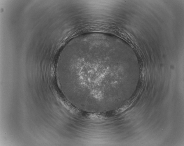 X0000087380568200704271600