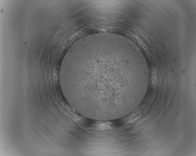 X0000087380569200704271600