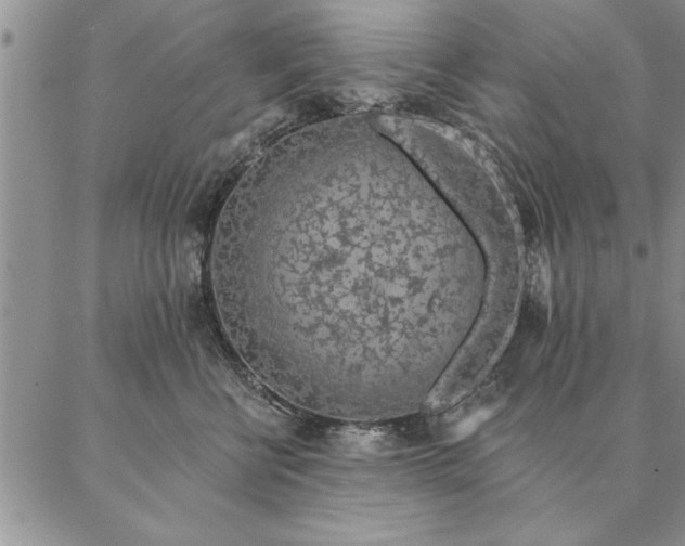 X0000087380570200704271600