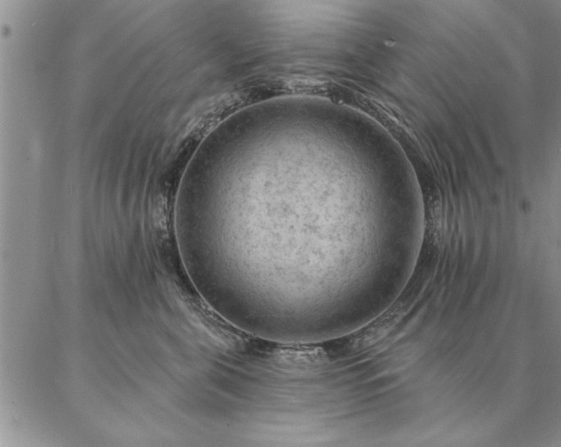 X0000087380571200704271600