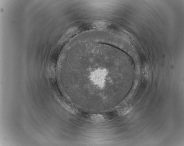 X0000087380572200704271600