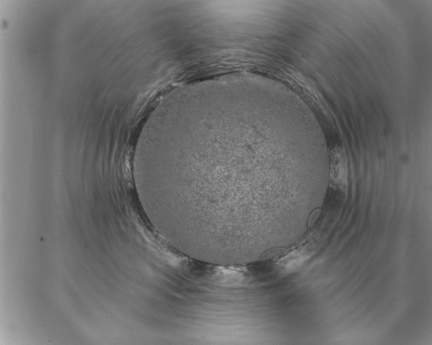 X0000087380573200704271600