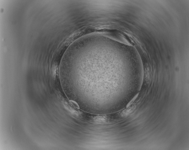 X0000087380574200704271600