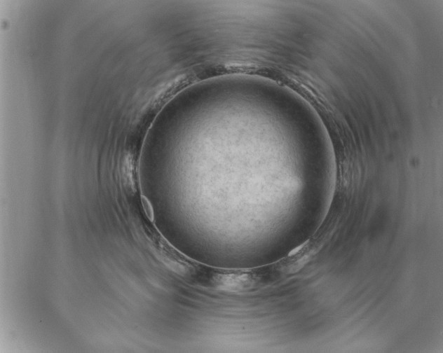 X0000087380575200704271600