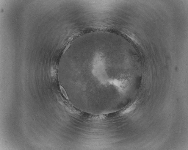 X0000087380576200704271600