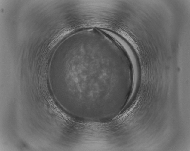 X0000087380577200704271559