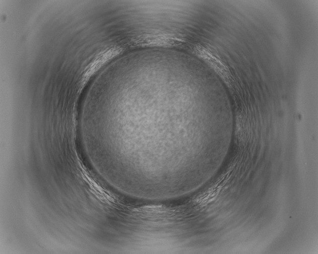 X0000087380578200704271559