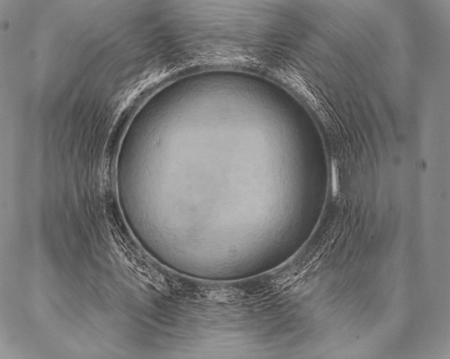 X0000087380579200704271559