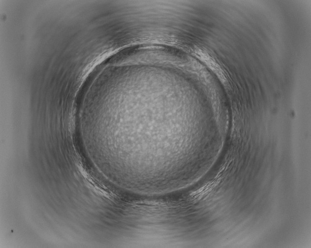 X0000087380580200704271559