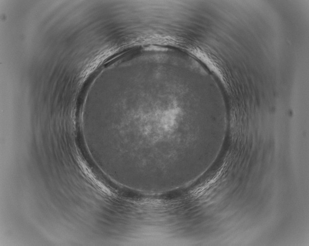 X0000087380581200704271559