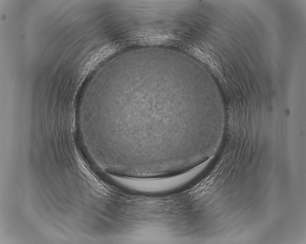 X0000087380582200704271559