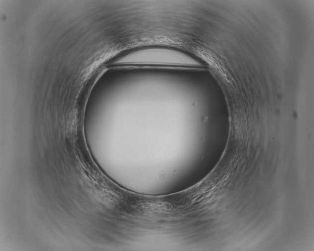 X0000087380583200704271559