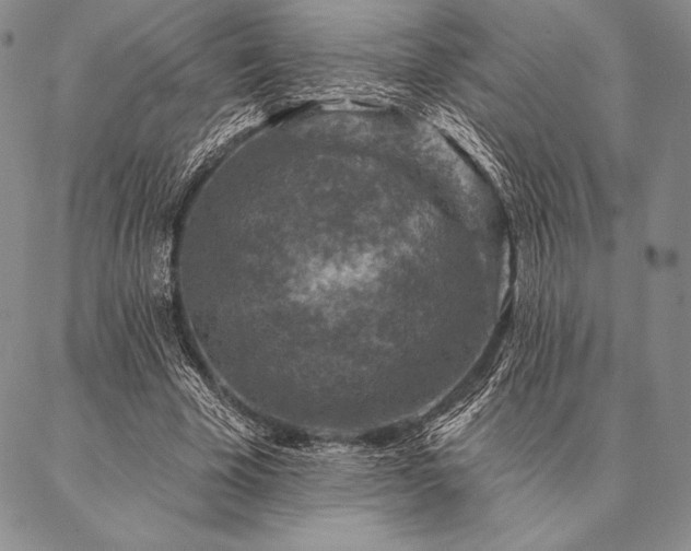 X0000087380585200704271559