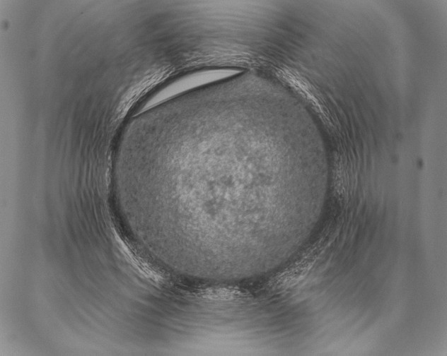 X0000087380586200704271559