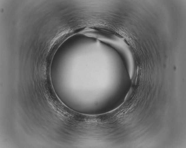 X0000087380587200704271559