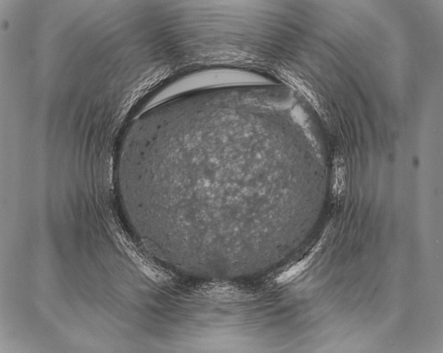 X0000087380589200704271559