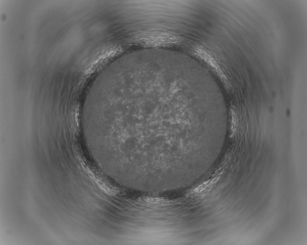 X0000087380590200704271559