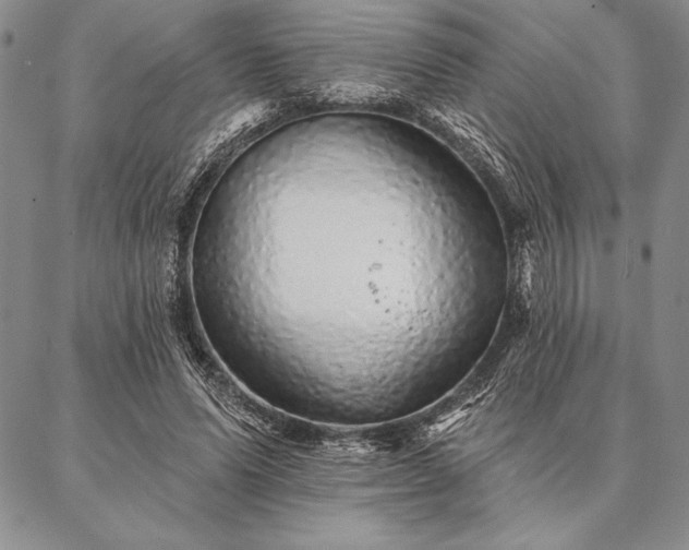 X0000087380591200704271559