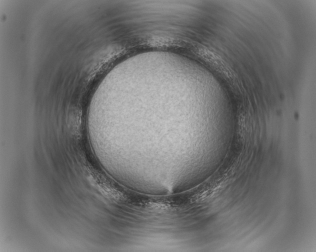 X0000087380592200704271559