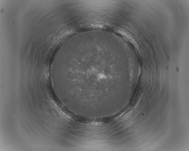 X0000087380593200704271559