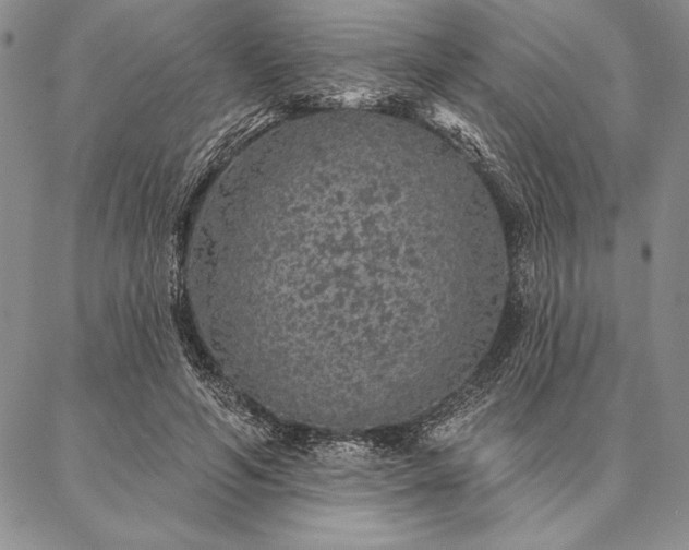 X0000087380594200704271559