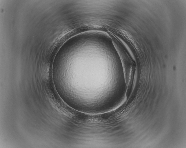 X0000087380596200704271559