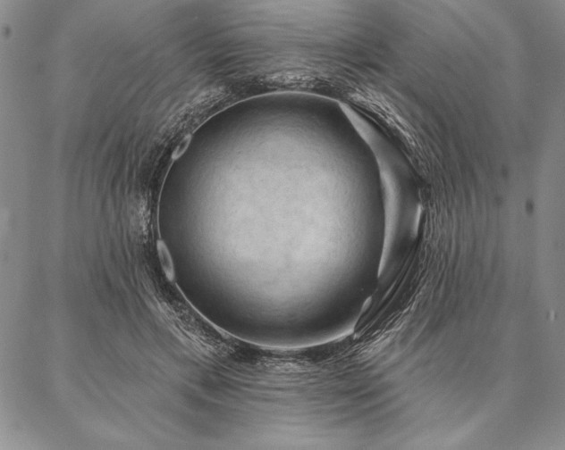 X0000087380597200704271559