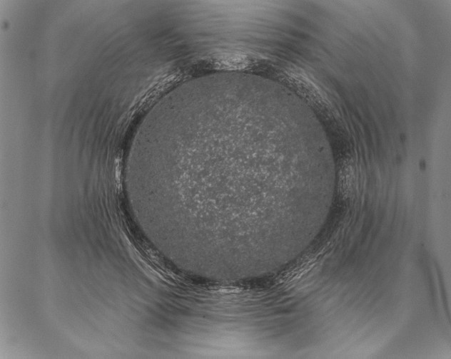 X0000087380598200704271559