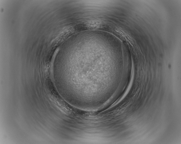 X0000087380601200704271559