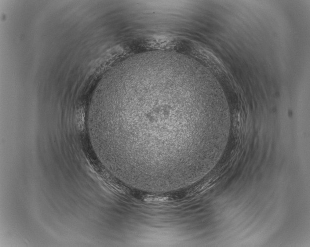 X0000087380602200704271559