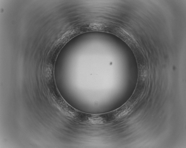 X0000087380603200704271559