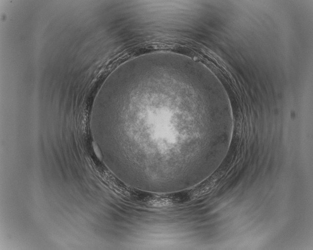 X0000087380604200704271559