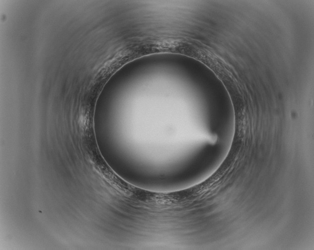 X0000087380608200704271559