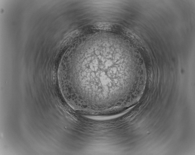 X0000087380609200704271559