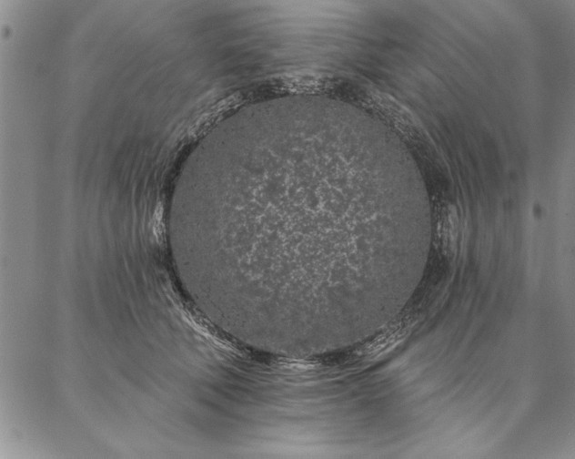 X0000087380610200704271559