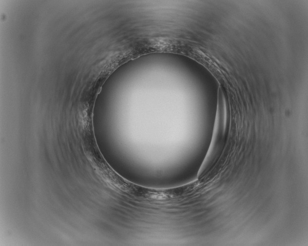 X0000087380611200704271559