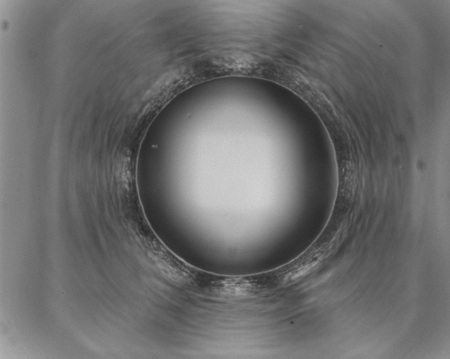 X0000087380612200704271559