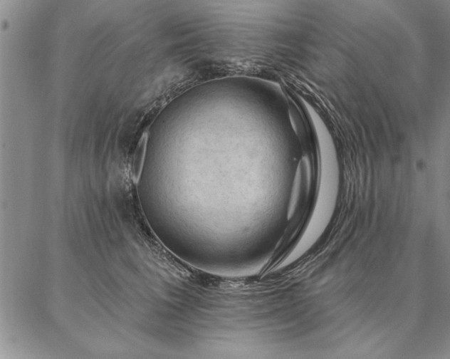 X0000087380613200704271559