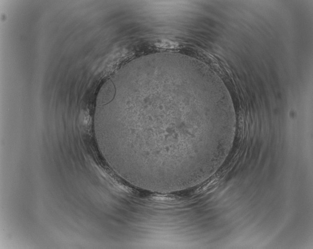 X0000087380614200704271559