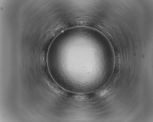 X0000087380615200704271559