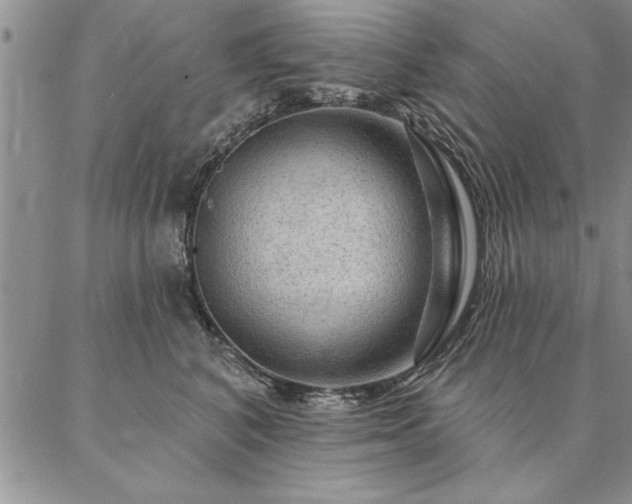 X0000087380616200704271559