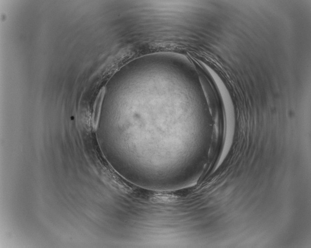 X0000087380617200704271559