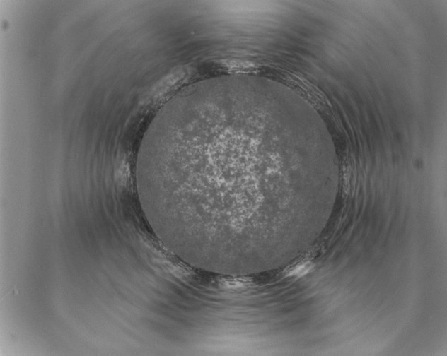 X0000087380618200704271559