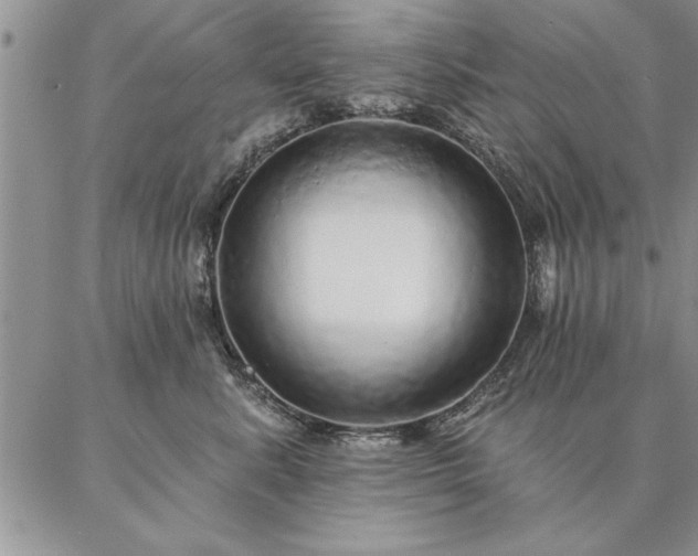 X0000087380619200704271559